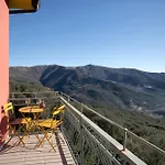 Il Nido Tra Gli Ulivi